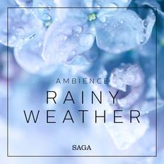 Engelska - Medicin & Omvårdnad Ljudböcker Ambience - Rainy Weather (Ljudbok, MP3, 2019)