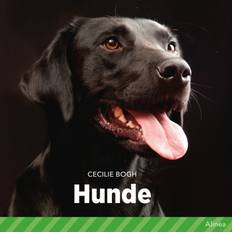 Hunde Hunde (Ljudbok, MP3, 2019)