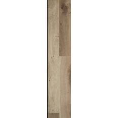 Variation 311257
