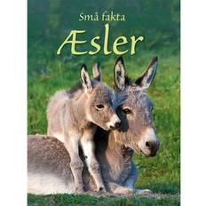 Æsler (Indbundet, 2019)