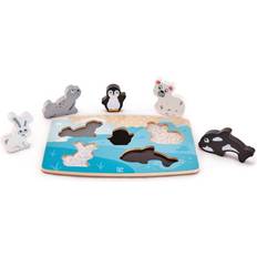 Hape Polar Animals Tactile 5 Pieces