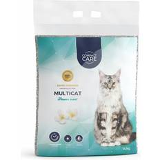 Multicat Flower