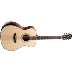 Washburn WCG10S