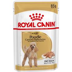 Royal canin poodle Royal Canin Poodle Adult