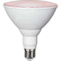 357-36 LED Lamps 16W E27