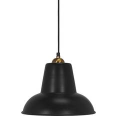 Rosa Pendellampor PR Home Scottsville Pendellampa 30cm