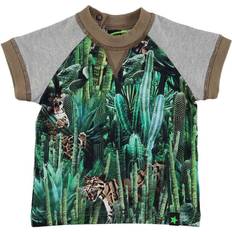 Tigrar T-shirts Barnkläder Molo Eton - Cactus Bite (3S16A202 4409)