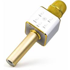 BT-X31