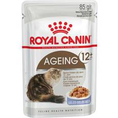 Royal canin aging Royal Canin Aging +12 in Jelly 0.1kg