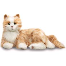 Companion Pet Cat