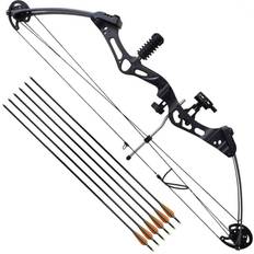 Compound bow with accessories