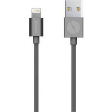 Champion Electronics USB A - Lightning 1m