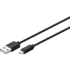 USB A - Lightning