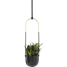Umbra Bolo Pot Krukke