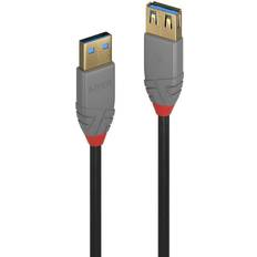 Lindy Anthra Line USB A-USB A 3.1 Gen.1 M-F