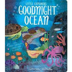 Goodnight Ocean (2019)