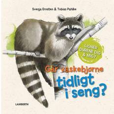 Går vaskebjørne tidligt i seng? (Inbunden, 2019)