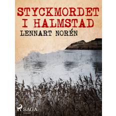 Halmstad Styckmordet i Halmstad (E-bog, 2019)