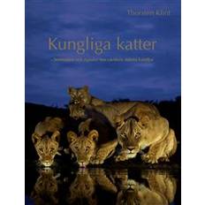 Kungliga katter: Beteenden och signaler hos världens största kattdjur (Inbunden)