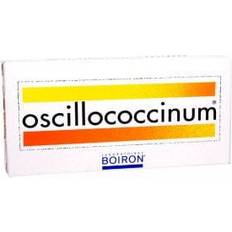 Oscillococcinum Oscillococcinum 6 doses 6 st