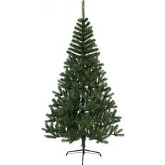 Star Trading Kanada Green Juletræ 210cm