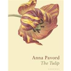 The Tulip (Hardcover, 2019)