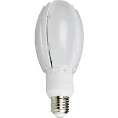 Olive LED Lamps 30W E27