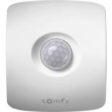 Motion Sensor