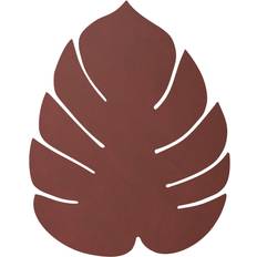 Monstera Leaf