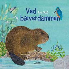 Ved bæverdammen (Inbunden, 2019)