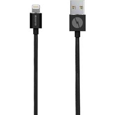 Champion Electronics USB A - Lightning 2m