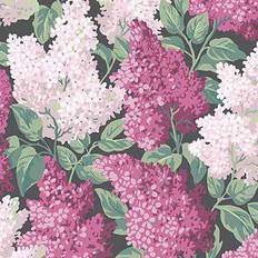 Cole & Son Flieder Tapete Lilac von and Pinks rose
