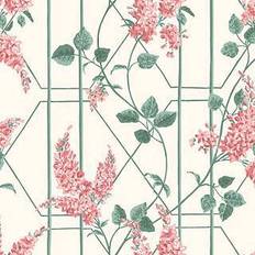 Cole & Son Wisteria Wallpaper Botanical Botanica Collection 115/5012 Roll