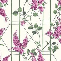 Cole & Son Wisteria Wallpaper Botanical Botanica Collection 115/5013 Roll