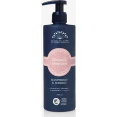 Rudolph Care Blossom Shampoo 390ml