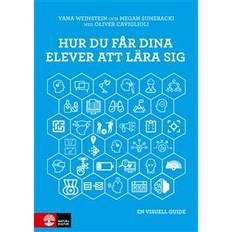Hur du får dina elever att lära sig : en visuell guide (Häftad, 2019)
