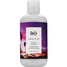 R+Co Shampoo Argento R+Co Sunset Blvd Blonde Shampoo 241ml