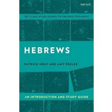 Hebrews: An Introduction and Study Guide (Paperback, 2020)