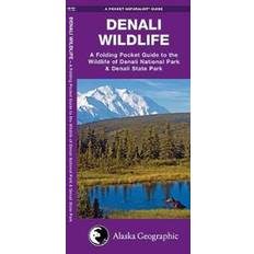 Denali Wildlife (Paperback, 2001)
