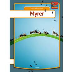 Myrer (Inbunden, 2020)
