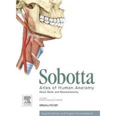 Sobotta atlas Sobotta Atlas of Human Anatomy, Vol. 3, 15th ed., English (Hæftet, 2013)