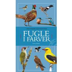 Dansk - Diverse skønlitteratur Lydbøger Fugle i farver (Lydbog, CD, 2020)