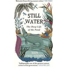 Still Water (Paperback, 2020)