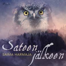 Konst, Fotografi & Design Ljudböcker Sateen jälkeen (Ljudbok, MP3, 2020)