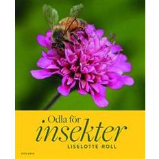 Odla för insekter (Inbunden)