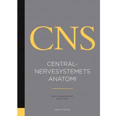 Centralnervesystemets anatomi (Indbundet, 2020)