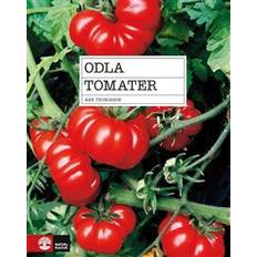 Hem & Trädgård E-böcker Odla tomater (E-bok, 2019)