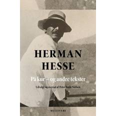 Herman hesse Vejen gennem kaos: Udvalgte fortællinger (Häftad, 2020)