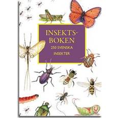 Insektboken: 250 svenska insekter (Inbunden)