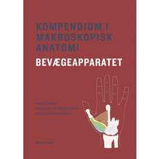 Kompendium i makroskopisk anatomi - bevægeapparatet (Häftad, 2020)